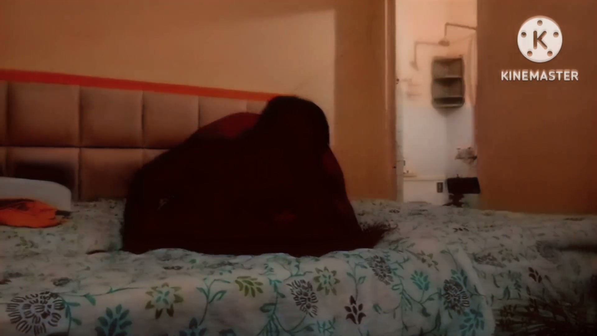 Frame 1