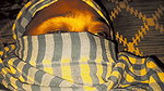Laila and Majnoo Got Excited at Night