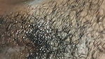 My Sweet Pussy – Tamil Aunty Pussy