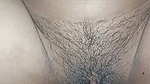 hairy pussy bhabhi fucked