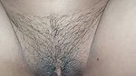 hairy pussy bhabhi fucked