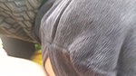 Nepali Clear Audio Handjob New Video Khelayar Jhardai