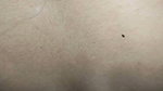 Newly Married Wife Fuck