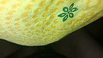 Pussy Fun and Sex with Bhabhi