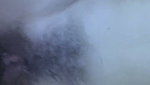 Village BF Fuck – Part 02