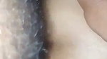 doggy style anal sex