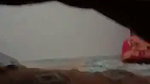 saree bahbhi riding dick
