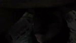 slim gf fucked