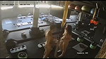sex inside gym