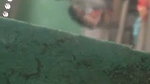 Bihar student caught his Madam fucking with lover in classroom