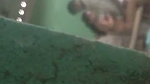 Bihar student caught his Madam fucking with lover in classroom