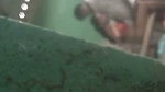 Bihar student caught his Madam fucking with lover in classroom