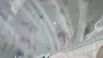 Husband fucking hard his wife on bed  moan