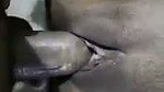 mask girl fucked