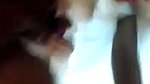Beautiful girlfriend fuck with bf big brother