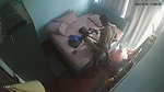 Husband caught his wife with neighbor uncle