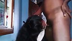 Sexy aunty give deeply Blowjob