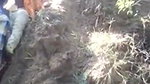 Slim bhabhi fucking with lover outdoor