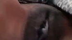 Slim cute girl showing her black pussy  boob