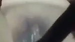Aunty drilling her pussy with big brinjal