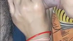 Beautiful bhabhi suck cock  fucked