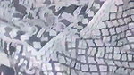 Beautiful Girl Fucking With Boyfriend