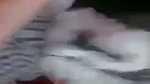 Bangladeshi Sexy Snap Gf ki MMS Part1