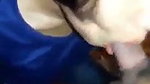 Beautiful girl give Blowjob