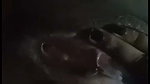Village bhabhi showing her boob  rubing pussy