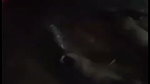 Village bhabhi showing her boob  rubing pussy