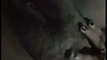 Village bhabhi showing her boob  rubing pussy