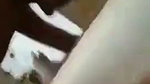 beautiful slim jannat girl fuck hard and pusssy licking with college senior