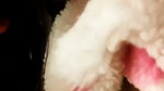 Desi Hungry MILF submissive Bhabhi Pet Slave Olivia Cock Feeding Deepthroat Blowjob