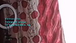 GAJAB KI JAWANI FINGERING HER FAT PUSSY ON TANGO LIVE