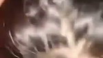 Sexy Babe blowjob And Fucking Clip Update Video