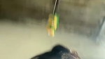 indianJassi nude show 20260901 164328 1