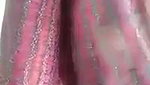 Awesome looking bhabhi showing her beauty  wearing saree