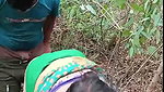 Jungle mein bhabhi