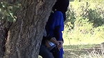 Boyfriend caught his gf fucking hard with another boy