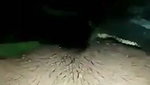 Boyfriend drilling her girlfriend pussy
