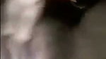 Chachi showing her wet pussy