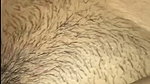 hot lady showing her hairly pussy