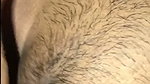 hot lady showing her hairly pussy