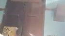 Village girlfriend fingering her pussy  showing