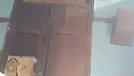 Village girlfriend fingering her pussy  showing