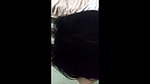BEAUTIFUL HORNY CHEATER BENGALI BOUDI SUCKING DICK