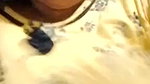 Desi Milf Showing Masturbating On Video Call