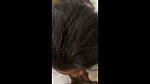 Beautiful Sexy Indian Gf Blowjob g
