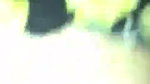 1000015402