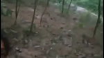 Beautiful girl fucking outdoor